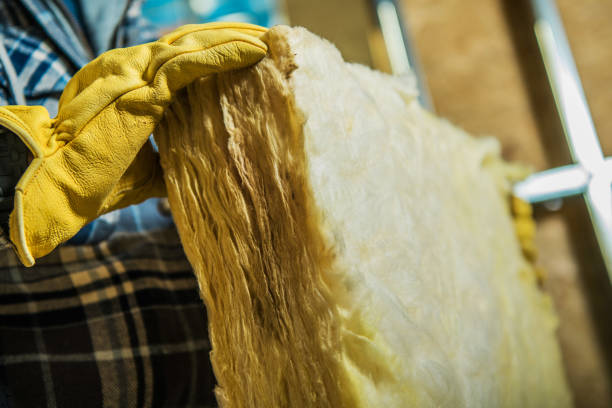 Best Insulation Removal  in Highland Falls, NY
